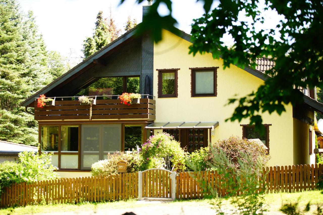 Im Wald Mit Kamin * Bad Harzburg