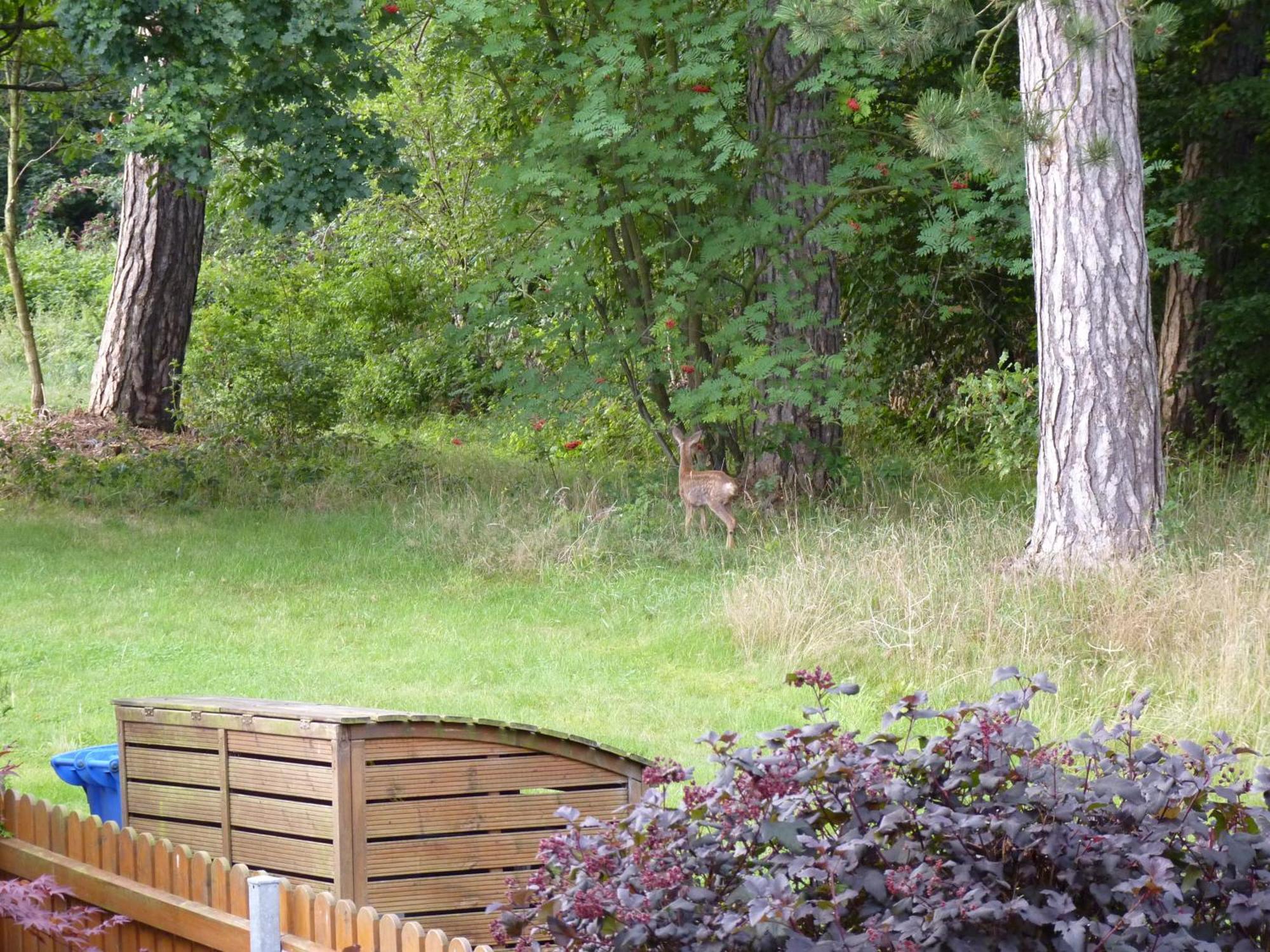 Im Wald Mit Kamin Apartment