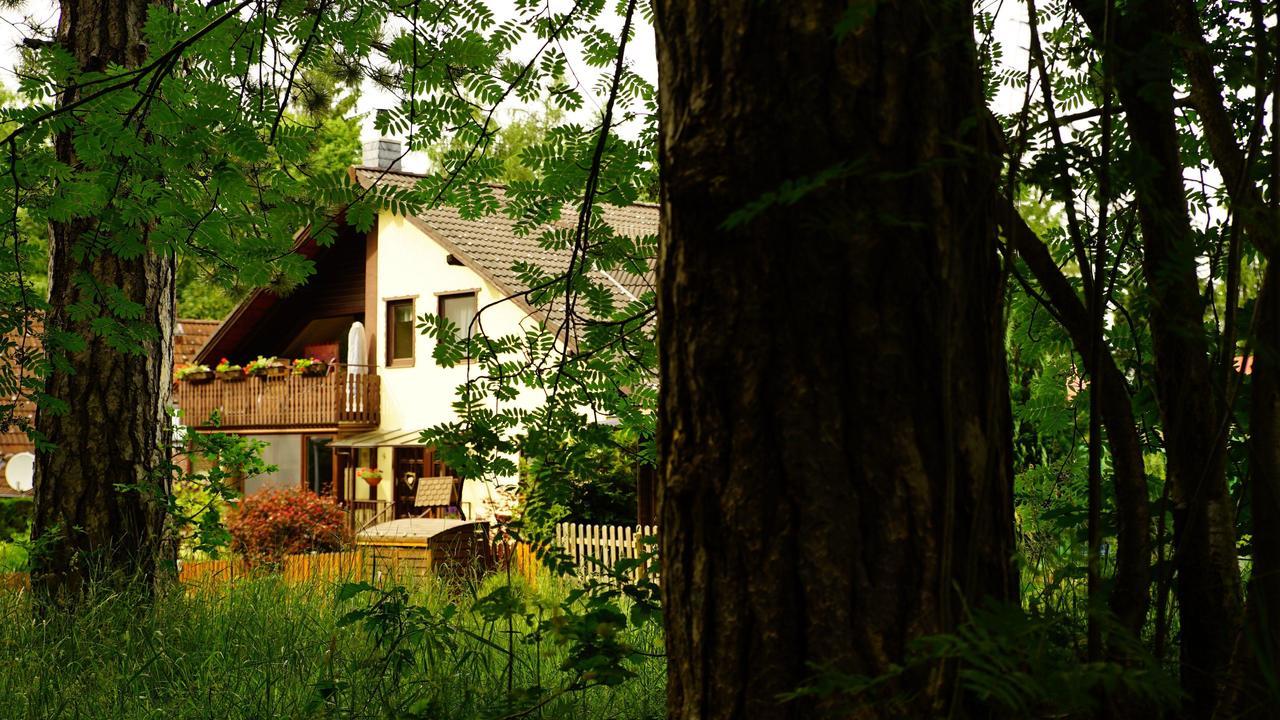 Im Wald Mit Kamin Apartment Bad Harzburg