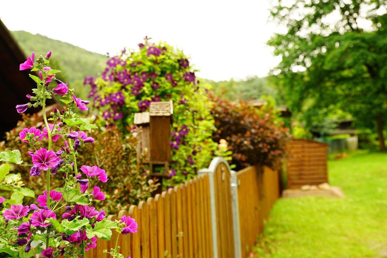 Apartment Im Wald Mit Kamin